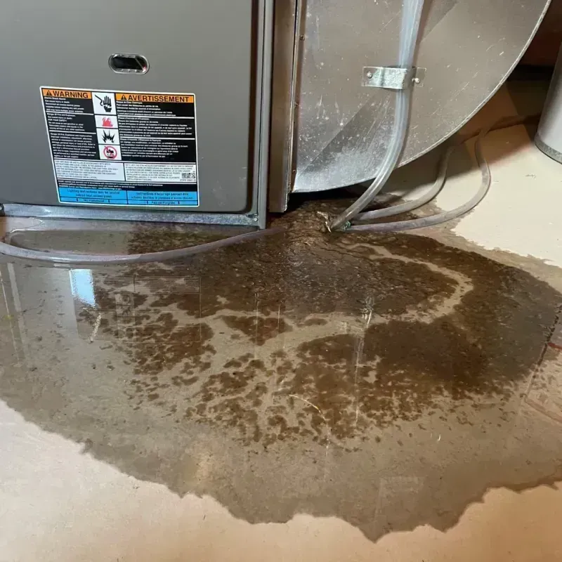 Appliance Leak Cleanup in Oregon, IL